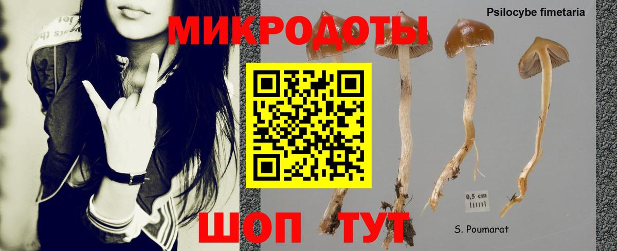 Псилоцибиновые грибы мицелий  Галлюциногенные грибы мухоморы  Вход с VPN  Красноармейск 