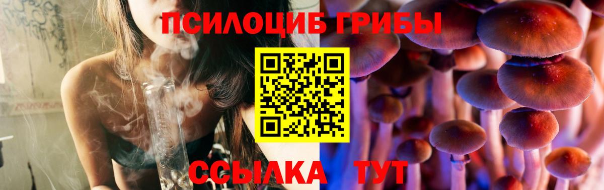 Галлюциногенные грибы GOLDEN TEACHER Красноармейск